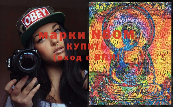 гашик Корсаков