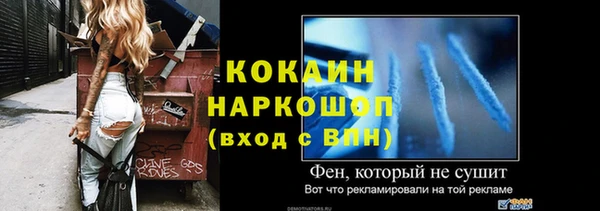 гашик Корсаков