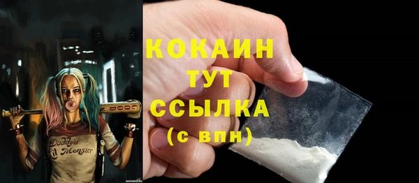 гашик Корсаков