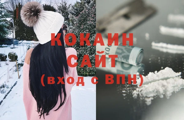 гашик Корсаков