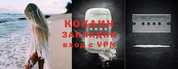 гашик Корсаков