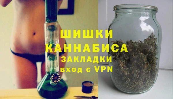 гашик Корсаков