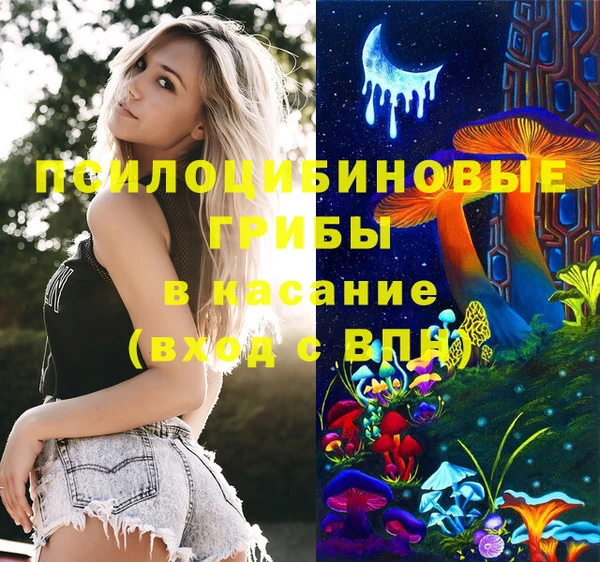 гашик Корсаков