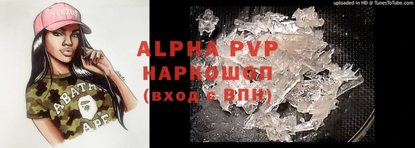 гашик Корсаков
