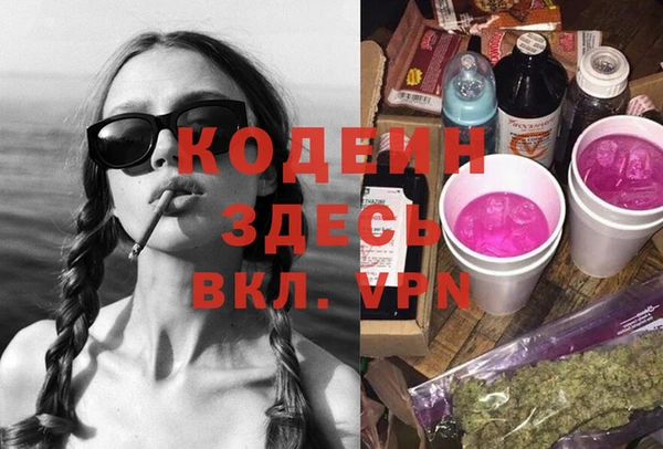 гашик Корсаков