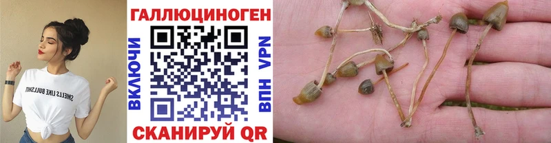 площадка телеграм  Кемерово  Галлюциногенные грибы MAGIC MUSHROOMS 
