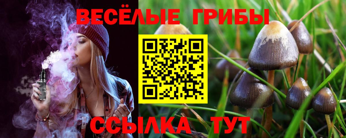 Псилоцибиновые грибы Magic Shrooms Кемерово