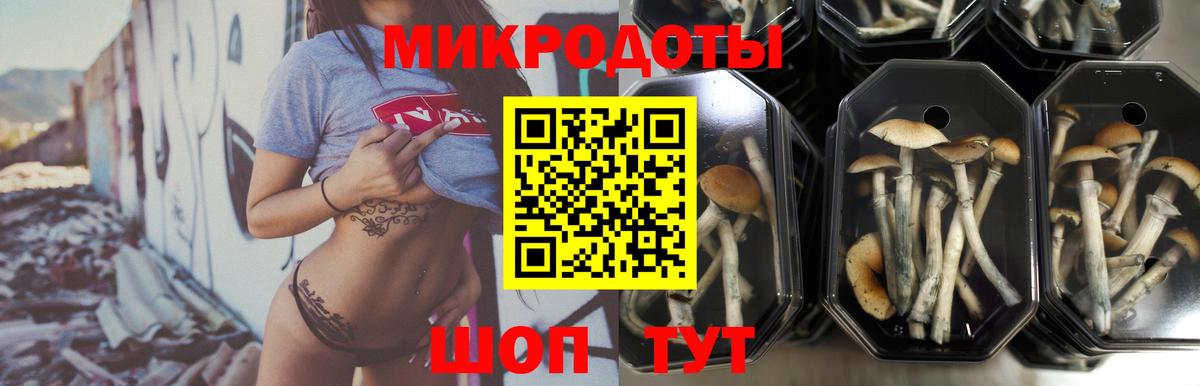 Кемерово  Галлюциногенные грибы ЛСД  даркнет сайт  Псилоцибиновые грибы MAGIC MUSHROOMS  Вход с VPN 